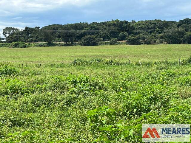 #1571 - Fazenda para Venda em São João Batista do Glória - MG - 3