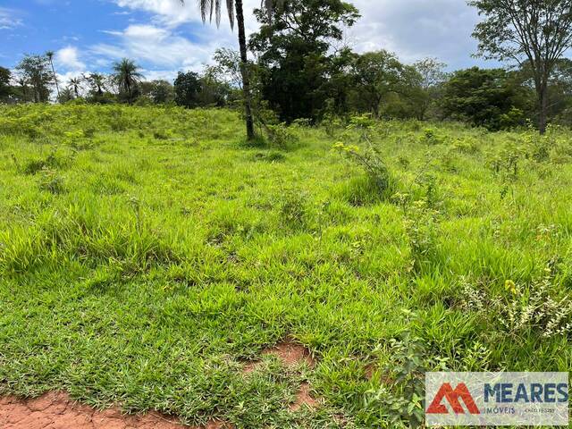 #1571 - Fazenda para Venda em São João Batista do Glória - MG - 2