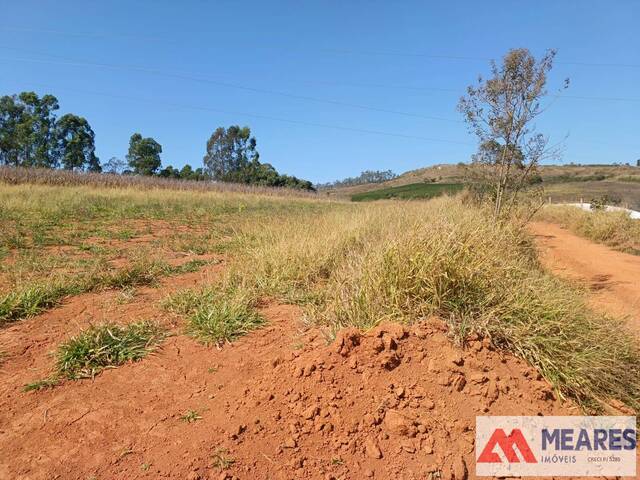 #1598 - Fazenda para Venda em Capitólio - MG - 2